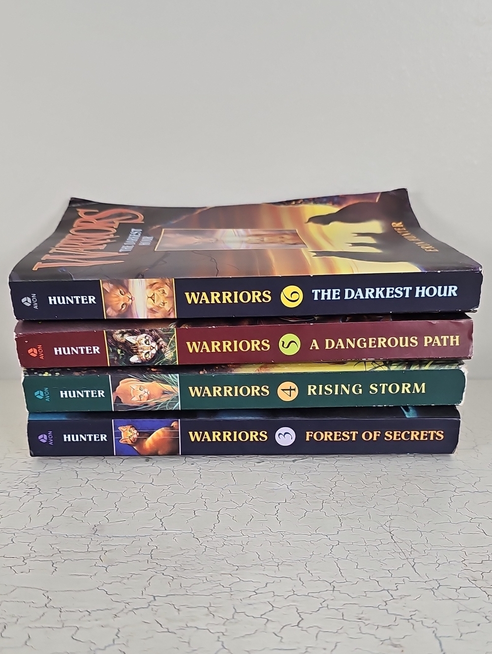 🐱 Warriors Series Paperbacks Lot of 4 Erin Hunter Books 3 4 5 6